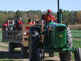 Barnyard Fun & Corn Maze Weekends